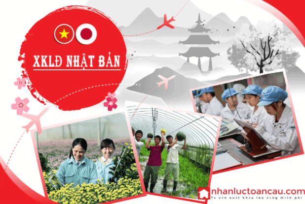 Nhân Lực Toàn Cầu – Kênh tư vấn xuất khẩu lao động Nhật Bản trực tuyến uy tín