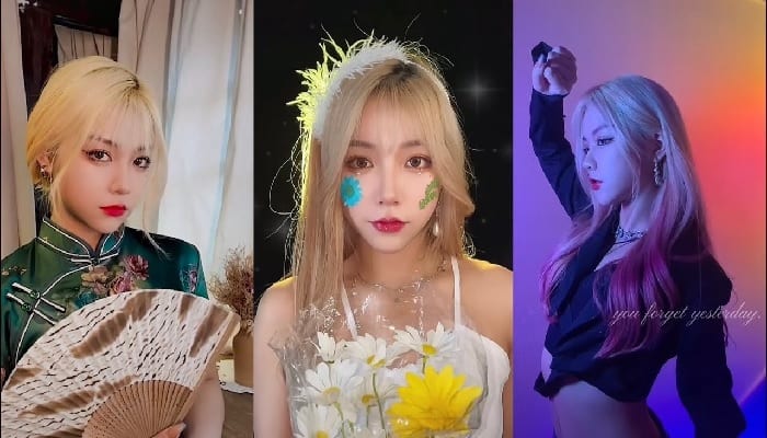 Các cách xóa logo Tiktokerđơn giản