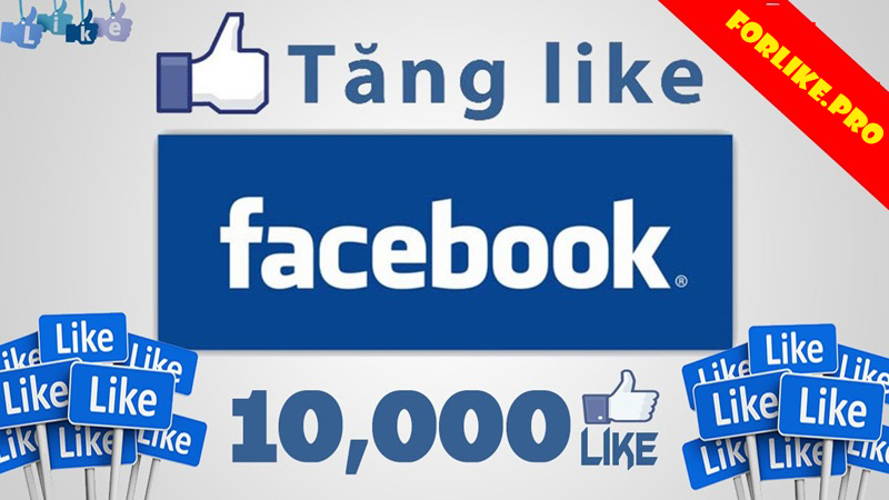 4+ Nguyên tắc mua like facebook cần nhớ 5 Đảm bảo chất lượng like