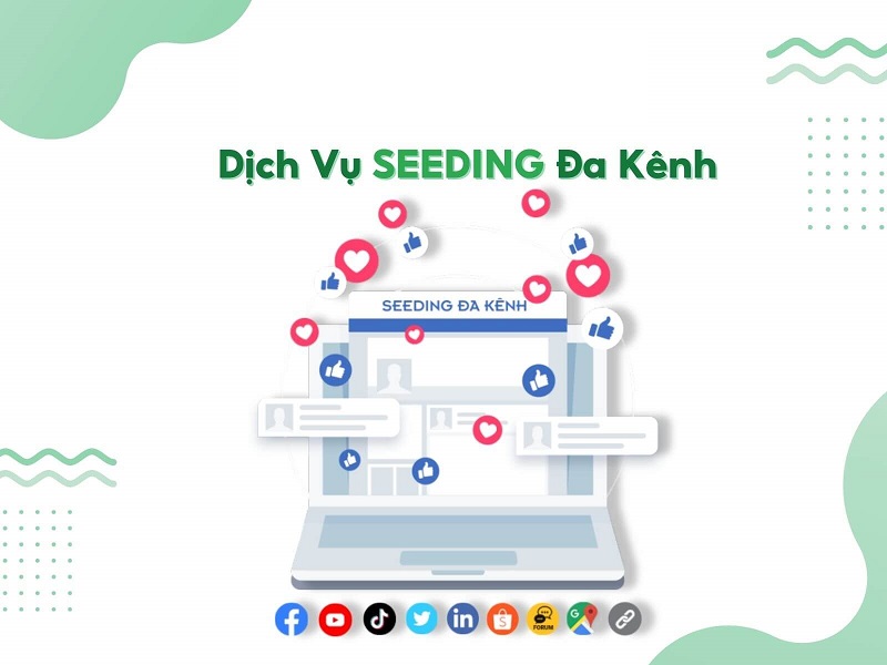 Khám phá các gói Seeding cơ bản nhất hiện nay 9 Khám phá các gói Seeding cơ bản nhất hiện nay