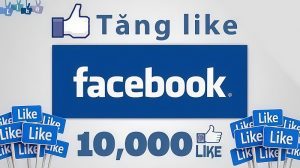 Dịch vụ mua Like Facebook Fanpage hỗ trợ 24/7